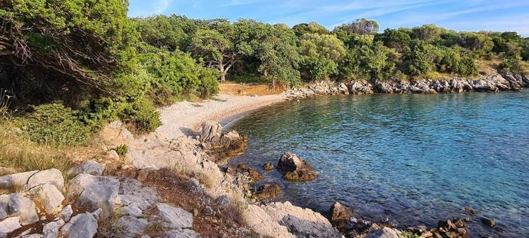 Kuca Za Odmor Denona Lejlighed Borovići Eksteriør billede