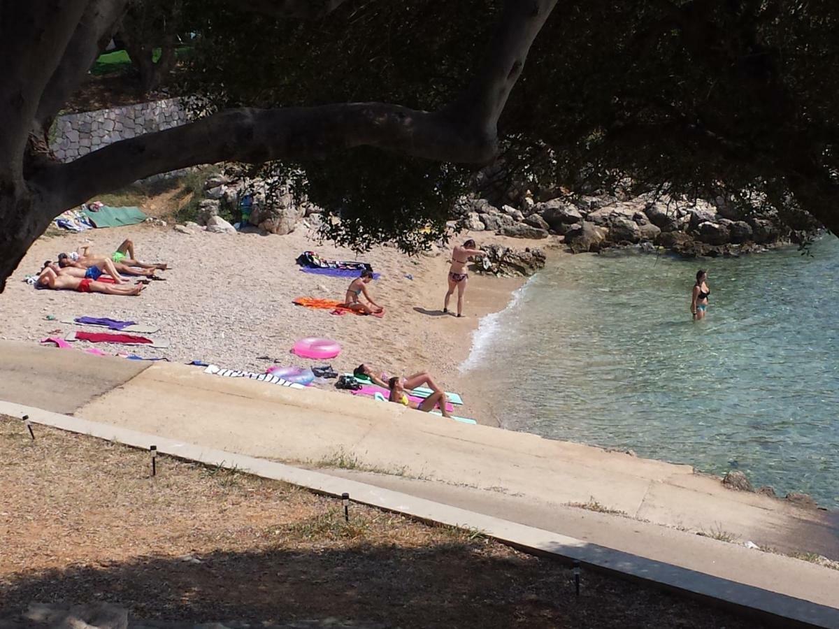 Kuca Za Odmor Denona Lejlighed Borovići Eksteriør billede